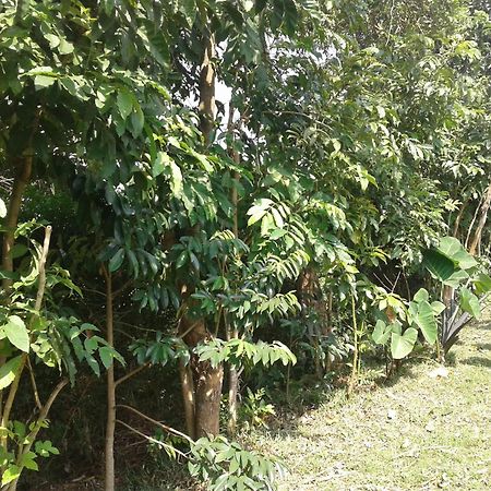 Plastic Bottles House Entebbe Exterior foto