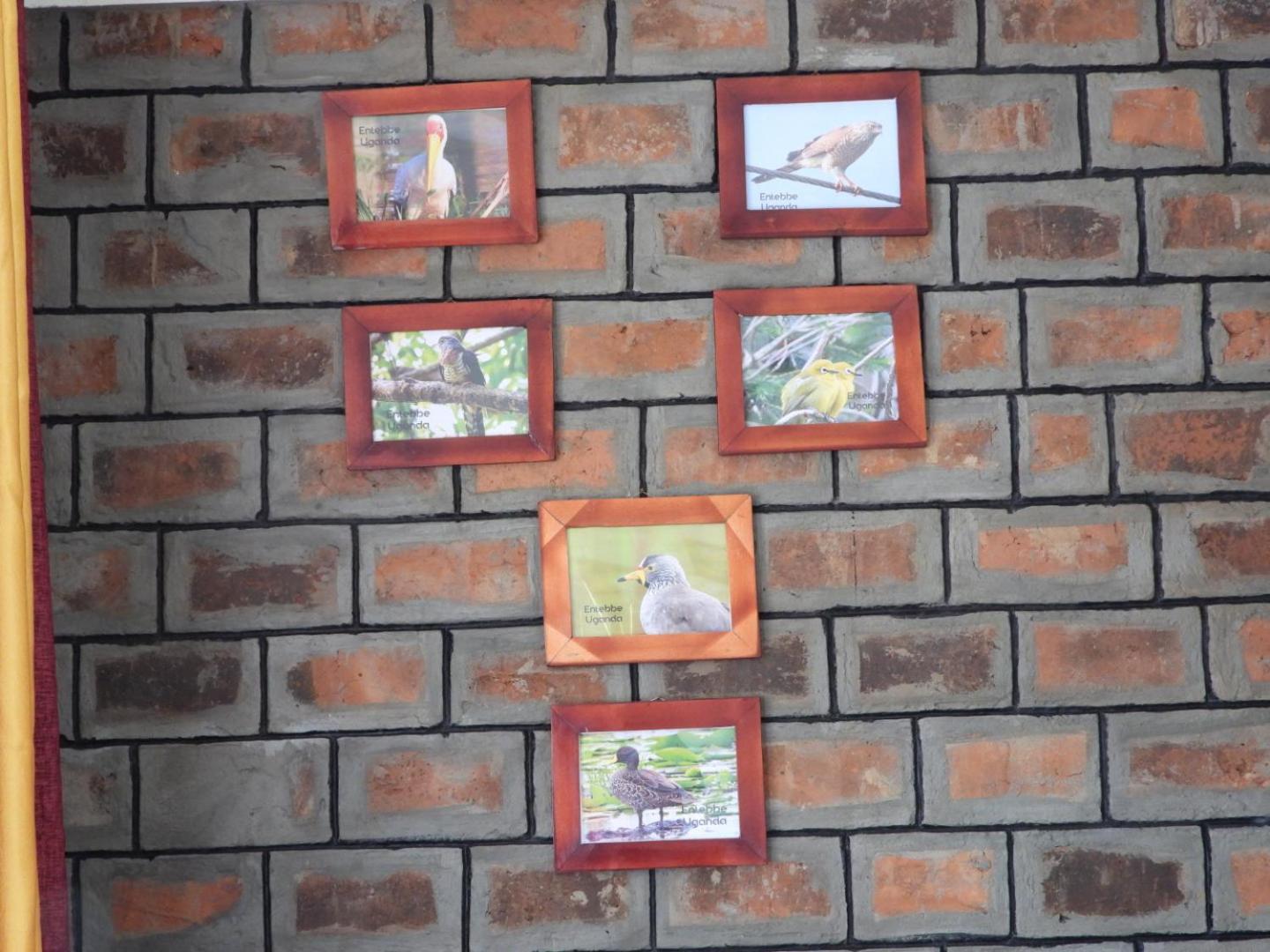 Plastic Bottles House Entebbe Exterior foto
