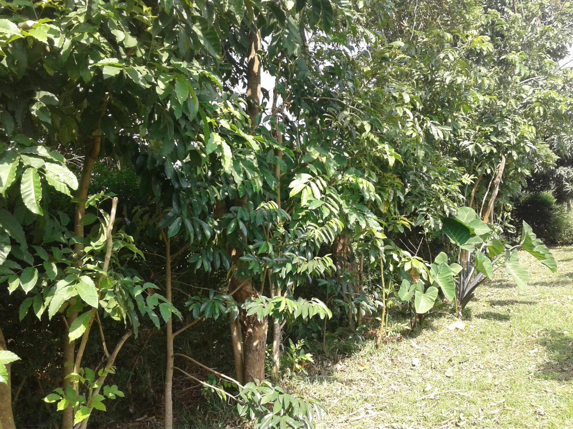 Plastic Bottles House Entebbe Exterior foto